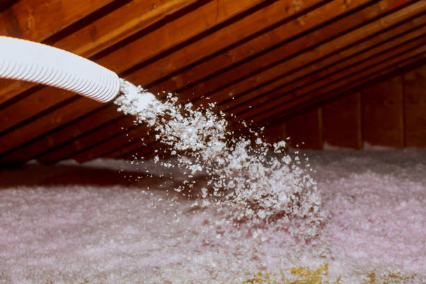  Belle Isle, FL Insulation Contractor Pros