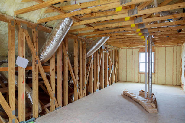 Best Geographic-Specific Insulation Services in Belle Isle, FL