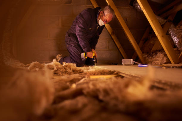 Best Blown-in Insulation in Belle Isle, FL
