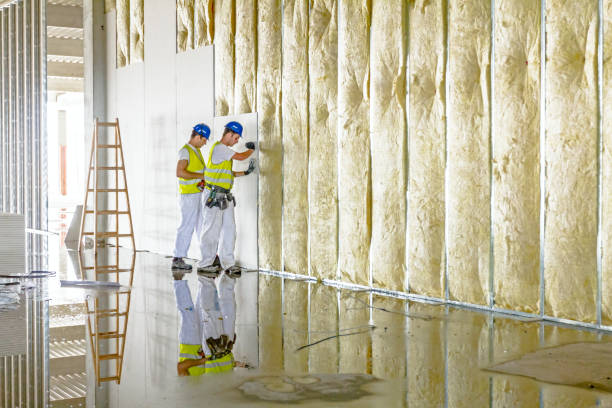 Best Insulation for Specific Applications in Belle Isle, FL